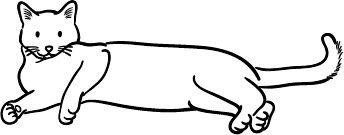 最新情報イメージ